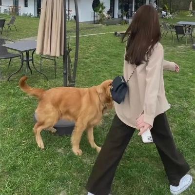 会社物语